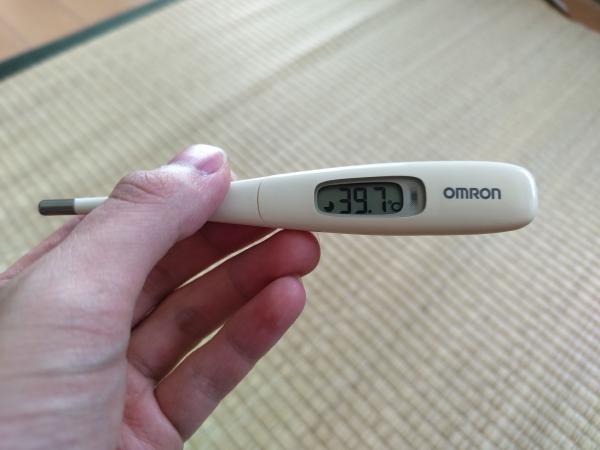 COVID-19にやられたときの話